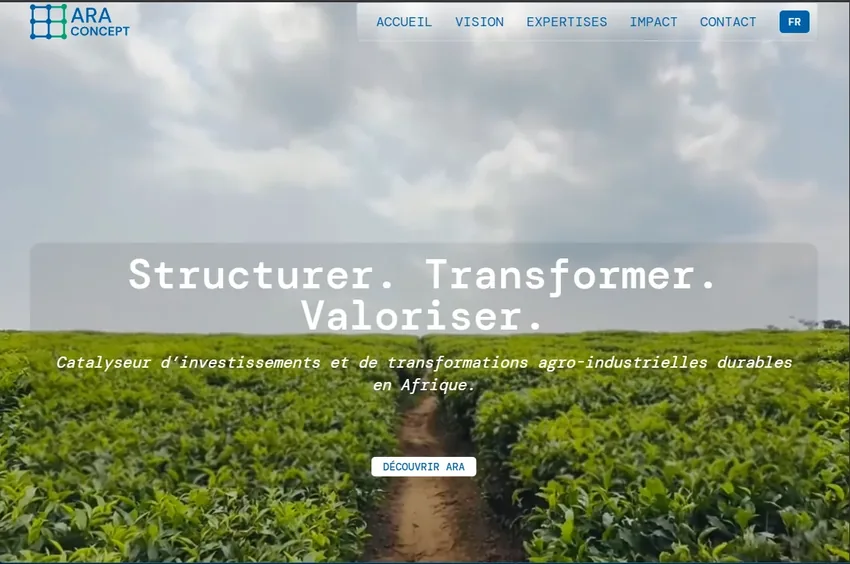 Page d'accueil du site Araconcept