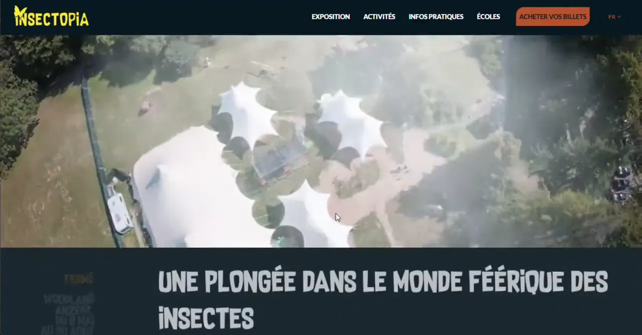 Site Insectopia, réalisé par Web journey